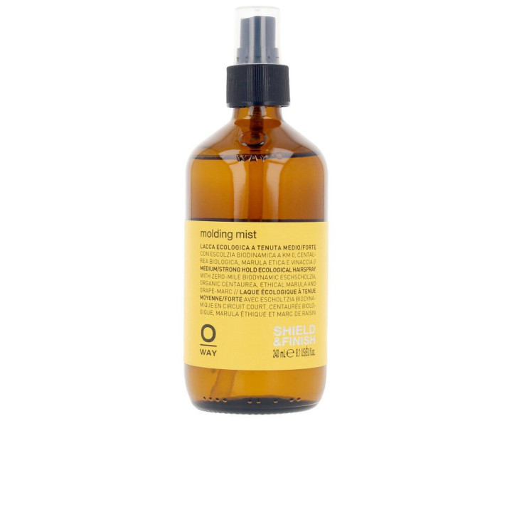 MOLDING MIST eco-friendly hairspray medium/strong hold 240 ml