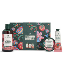 SMALL STRAWBERRY ESSENTIALS CASE 3 pcs
