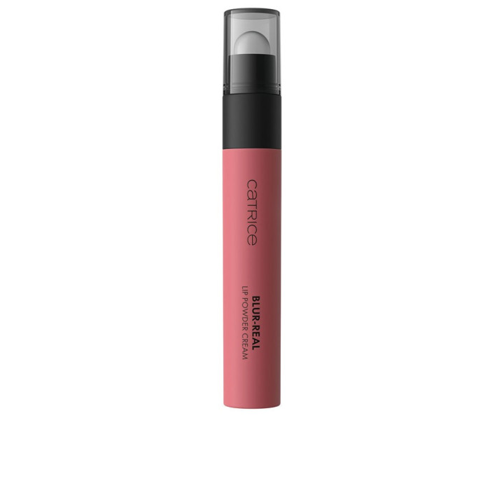 BLUR-REAL cream lipstick with powder effect #040 3.5 ml